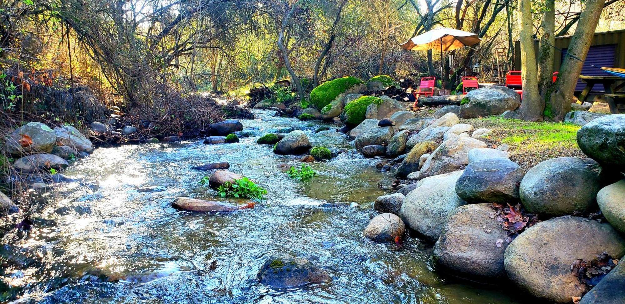 Magical River House ! 10 Min To Snp Park Entrance Three Rivers Buitenkant foto