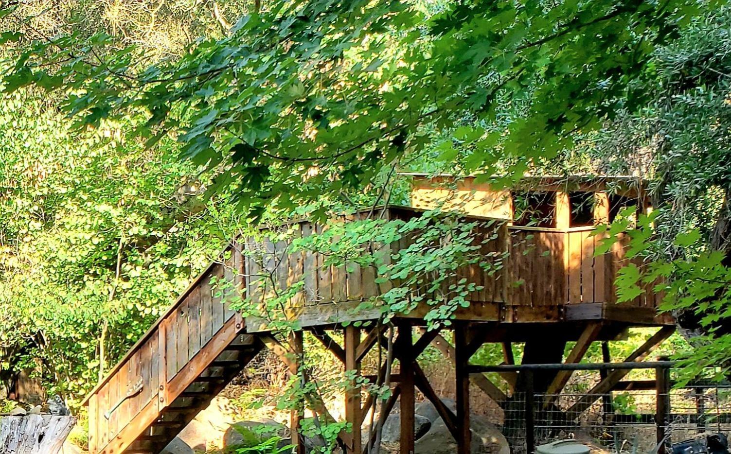 Magical River House ! 10 Min To Snp Park Entrance Three Rivers Buitenkant foto
